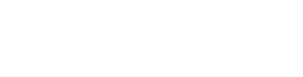 Voxora Labs